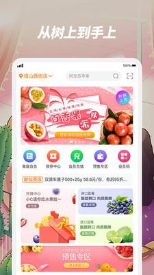 新仙C果