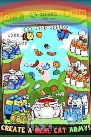 饥饿的猫喂食