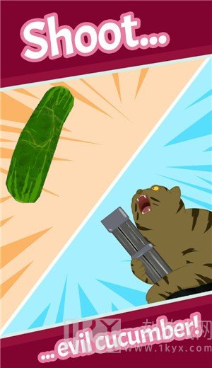 猫咪拍黄瓜