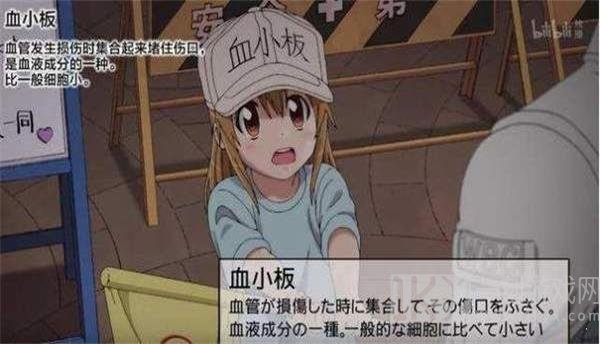 工作细胞细胞大作战