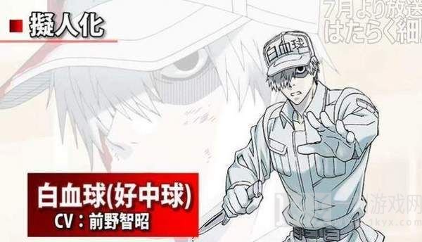 工作细胞细胞大作战