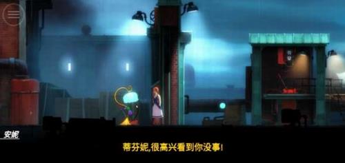 被遗忘的安妮
