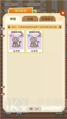 喵呜开门