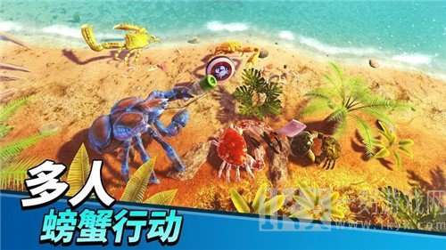 螃蟹之王2021