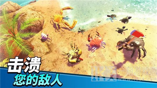 螃蟹之王2021