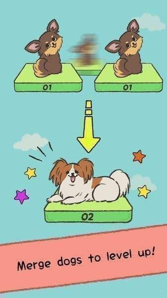 我可爱的小狗