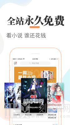 悠悠追书