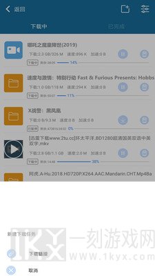 种子播放器