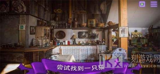 找一只猫