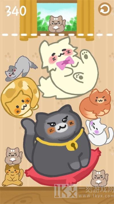 猫咪满屋