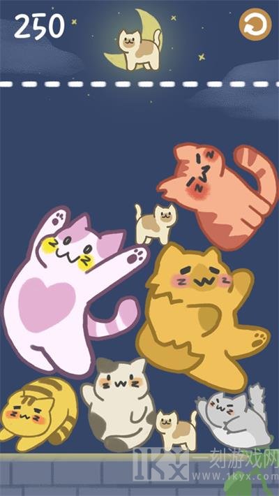 猫咪满屋