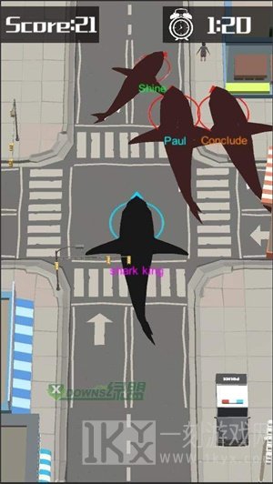 鲨鱼横行