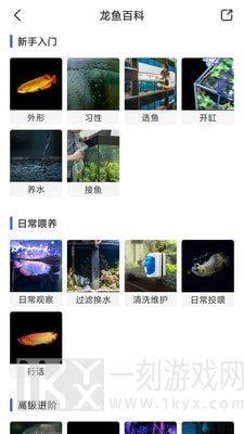 鲲天下