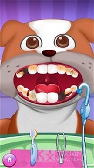 小小动物牙医