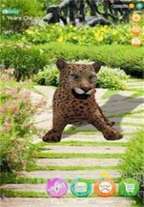 会说话的猎豹
