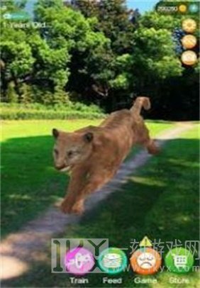 会说话的猎豹