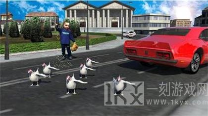 老母鸡过马路