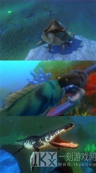 疯狂大胃王