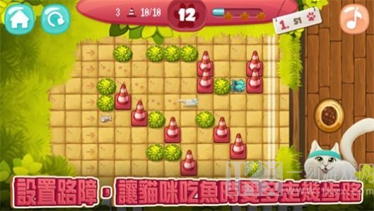 撩不起运动猫