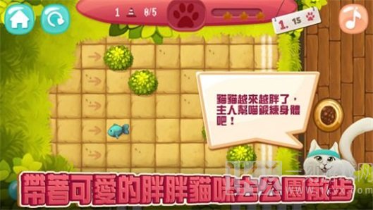 撩不起运动猫