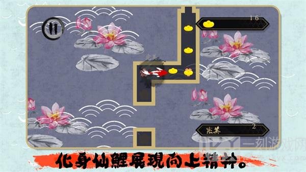 仙鯉向上游