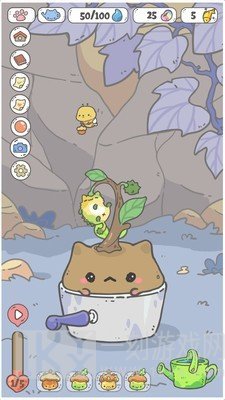 我的猫盆栽