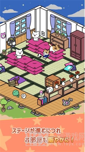 10秒找猫猫