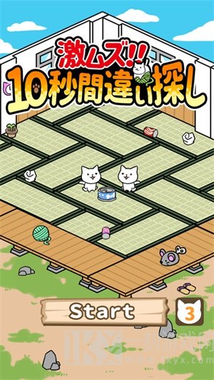 10秒找猫猫