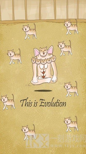 小猫进化大派对