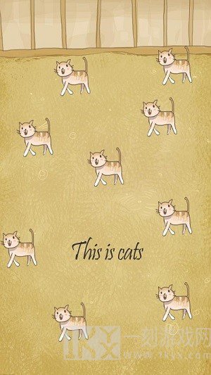 小猫进化大派对