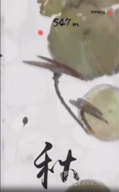 墨虾探蝌鲨鱼
