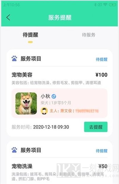 奇飞宠掌馆