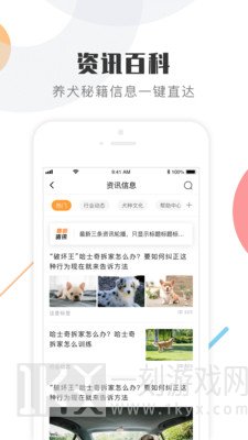 K9犬网
