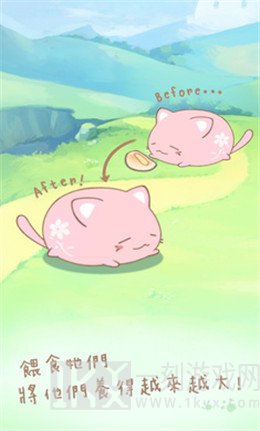 麻薯猫收藏