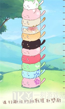 麻薯猫收藏