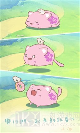 麻薯猫收藏
