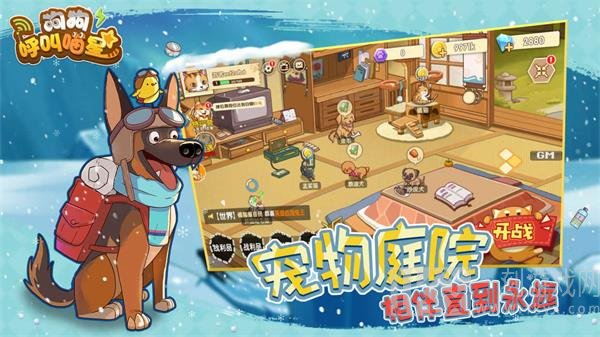狗狗呼叫喵星