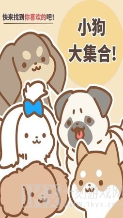 狗狗全明星