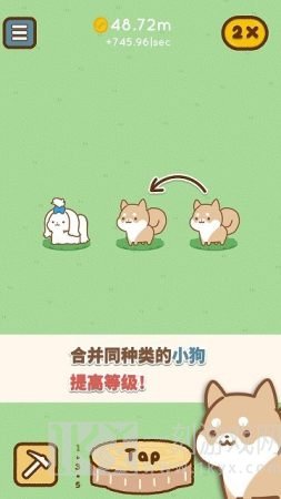 狗狗全明星