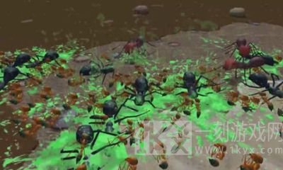 模拟地下蚁国