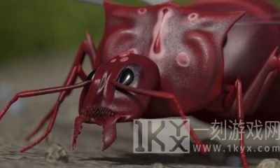 模拟地下蚁国