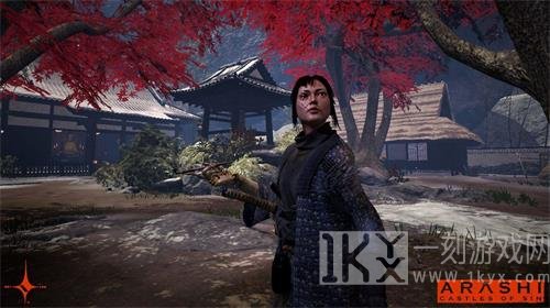 岚罪恶之城