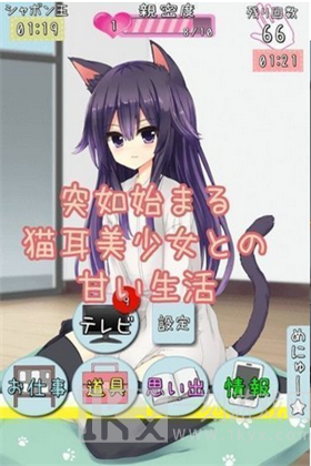 猫娘在家