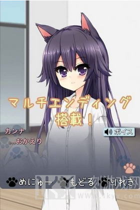 猫娘在家