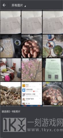 小葡萄