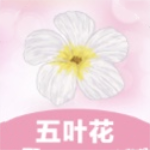五叶花贷款