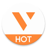 vsys币