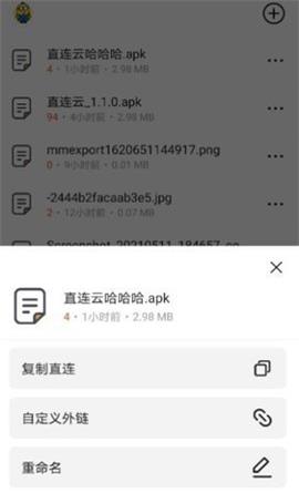 直连云 直连云截图