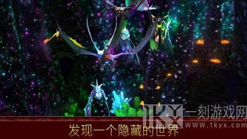 驯龙高手