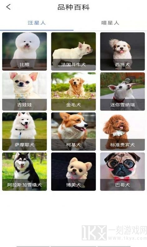 宠物知识全书